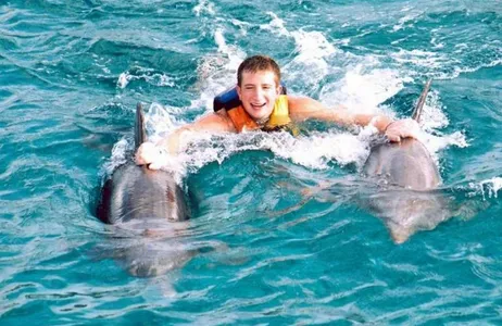 Nado com Golfinhos: Dolphin Royal Swim - Puerto Aventuras