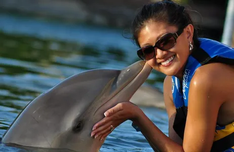 Dolphin Encounter in Puerto Aventuras