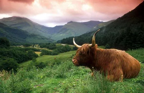 Loch Ness and the Scottish Mountains