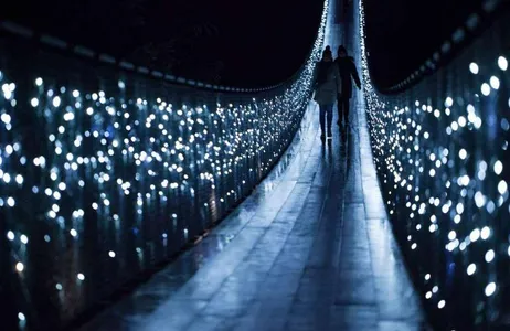 Vancouver Tour, Capilano Suspension Bridge, and Canyon Lights