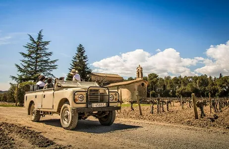 Wine and Cava Tasting with Tapas at Bodegas Penedes and Vineyard Tour in a 4x4 Small Group