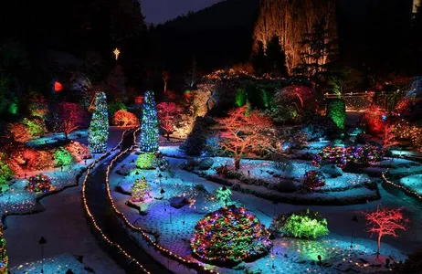 Victoria City Christmas Tour and Butchart Gardens