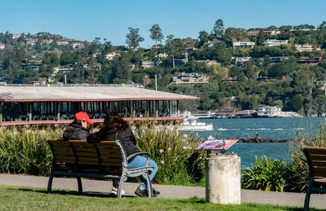 Muir Woods and Sausalito Half-Day Tour