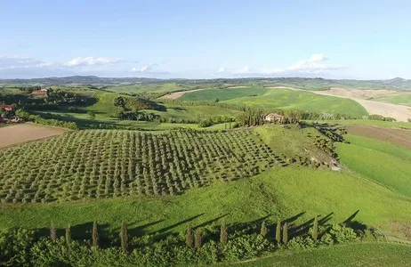 Unique Chianti Experience - Wine and Tasting in the Morning