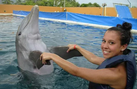 Dolphin Swim Adventure in Isla Mujeres