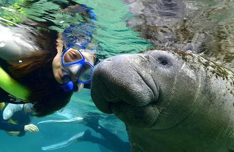 Swim with Manatees, Wildlife Park, and Airboat Ride - The Original Florida Adventure Tour