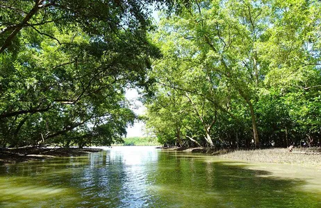 Wat Bang Kung Temple and Mangrove Boat Tour from Bangkok
