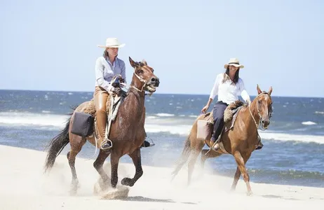 PASEO A CABALLO POR LA PLAYA