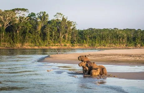 Manus Park Odyssey: Embarque em uma expedição de 4 dias na selva