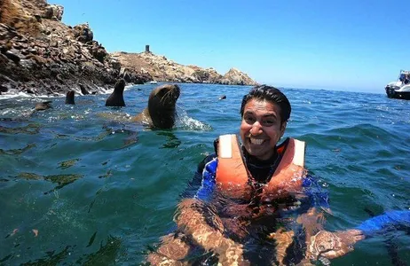 Nadando com Leões Marinhos nas Ilhas Palomino Lima