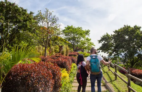 Moravia, uma história de Valentia - Tour Privado em Medellín