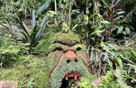 Infância, a Floricultura da Elf em Cali