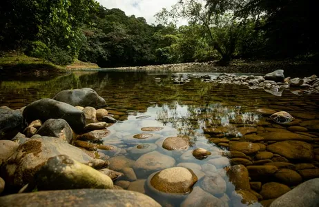 Reserva Natural de São Cipriano (Cali)