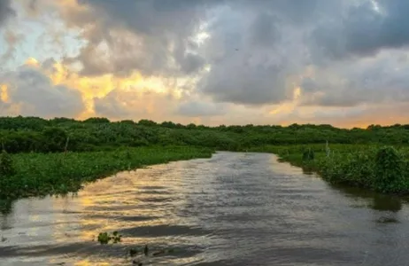 Passeio pelo Rio Magdalena em Barranquilla