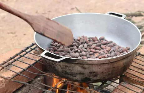 Excursão à reserva de cacau e mogno saindo de Santa Marta