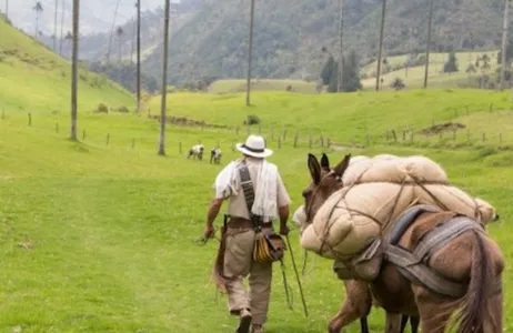 Vale do Cócora e Salento em Quindío (Armênia-Eixo Café)