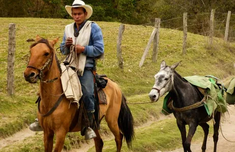 Tour de Filandia, Vale de Cocora e Salento em Quindio (Arménia - Eje Cafetero)