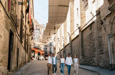Premium Guided Tour of Toledo: Cathedral and 8 Main Monuments from Madrid