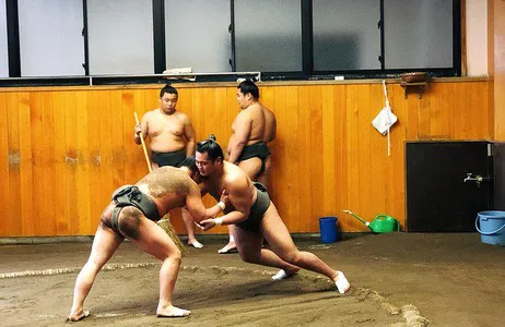 Assista ao treino matinal em um estábulo de sumô (tour para grupos pequenos)