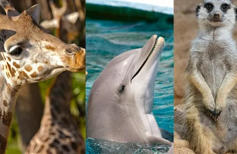 Barcelona Zoo
