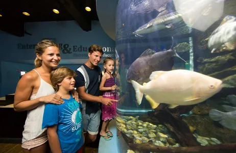 Cancun Interactive Aquarium Ticket