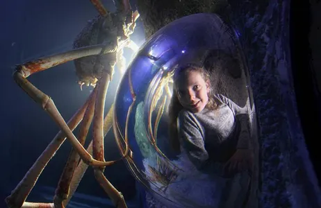 Meet SEA LIFE Manchester