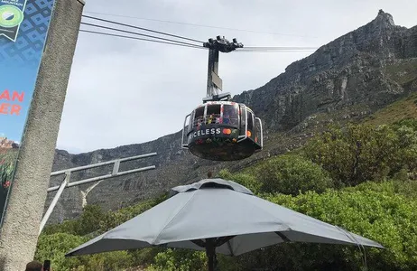 Excursão para grupos pequenos na Montanha da Mesa, Pinguins e Cape Point