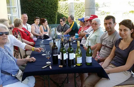 Degustação privada de vinhos e tour histórico pela cultura sul-africana
