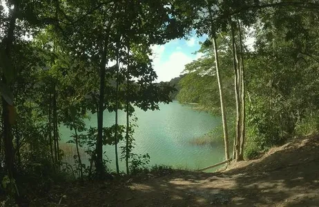 Fernão Velho – Catolé Environmental Protection Area – Maceió