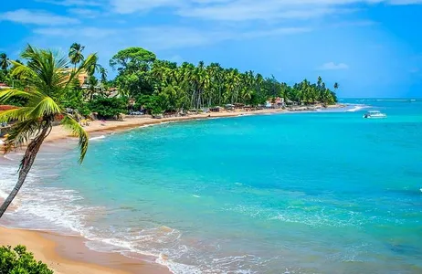 Maragogi: Discover the Brazilian Caribbean