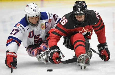 Desfrute do: Toronto Maple Leafs
