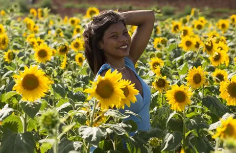 Tour das Flores