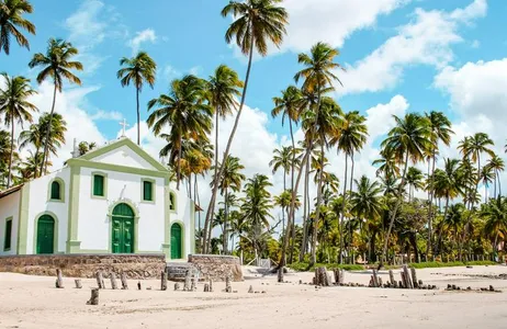 Passeio de um dia na Praia dos Carneiros - com saída de Porto de Galinhas