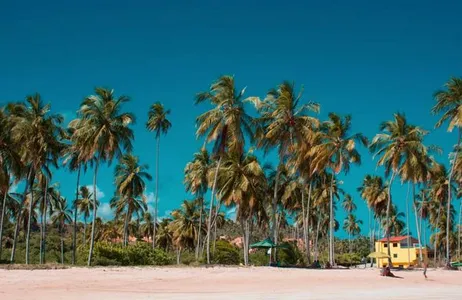 Passeio de um dia em Maragogi - com saída de Porto de Galinhas