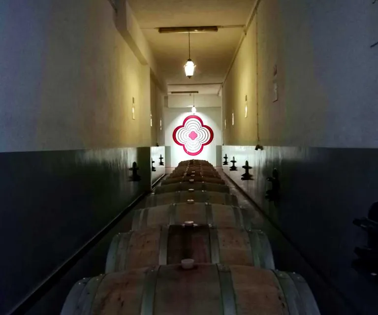 Experience image 6