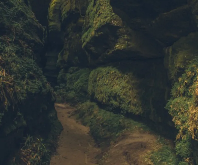 Experience image 4