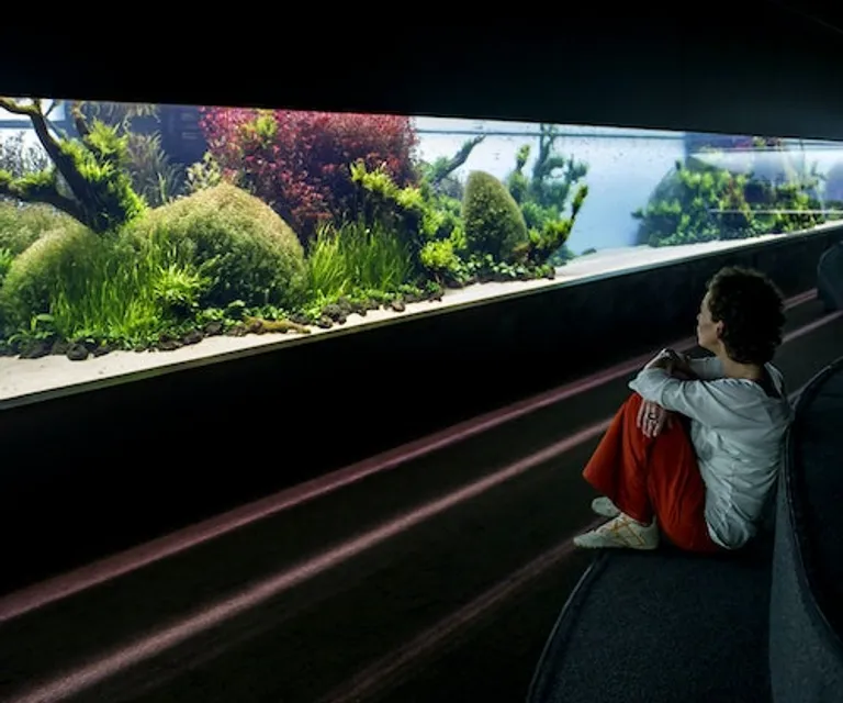 Experience image 8