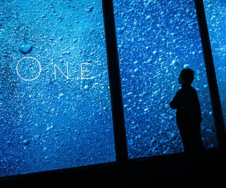 Experience image 11