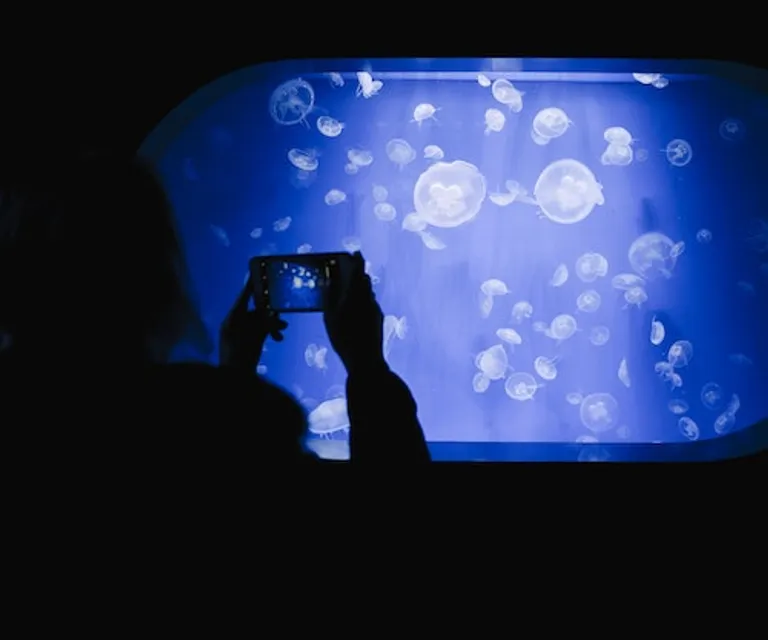 Experience image 3