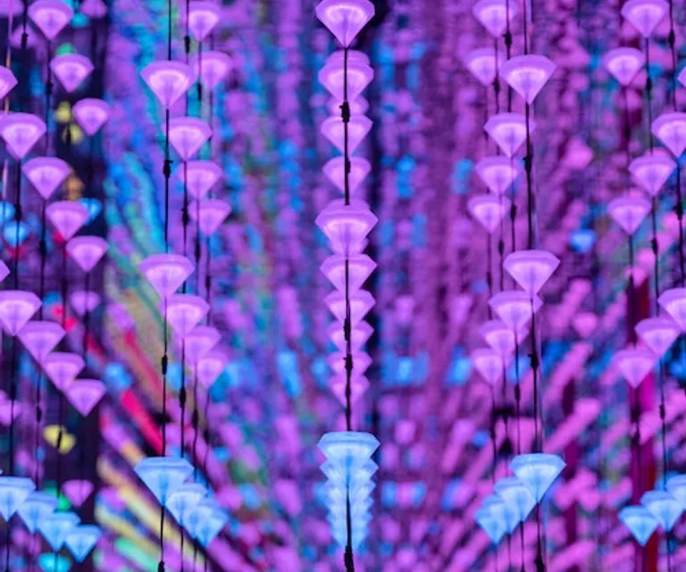 Experience image 8