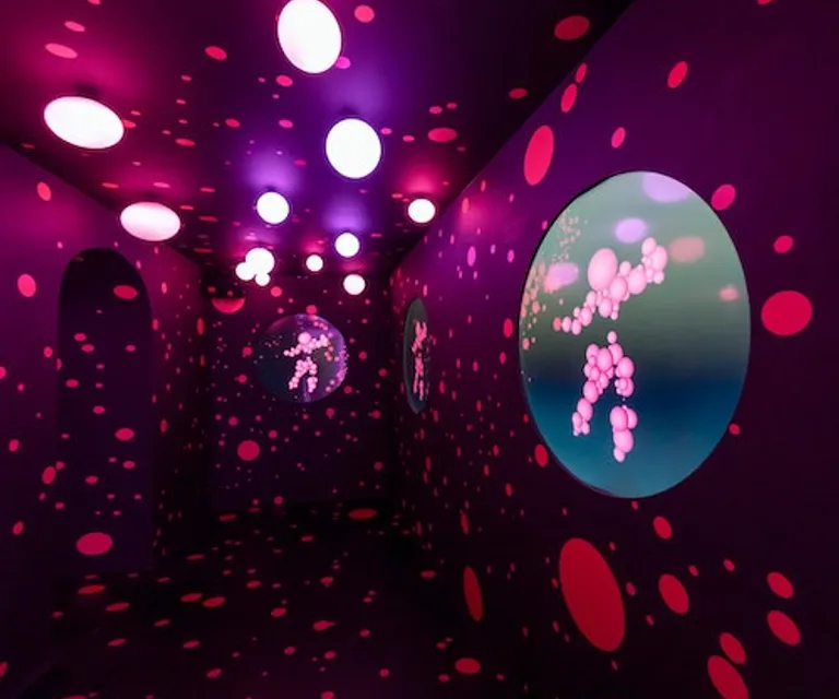 Experience image 11