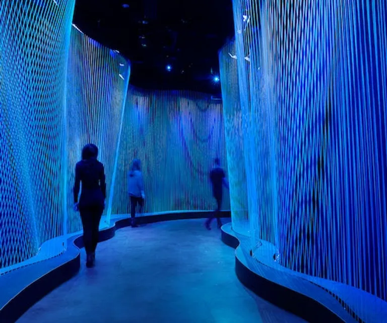 Experience image 4