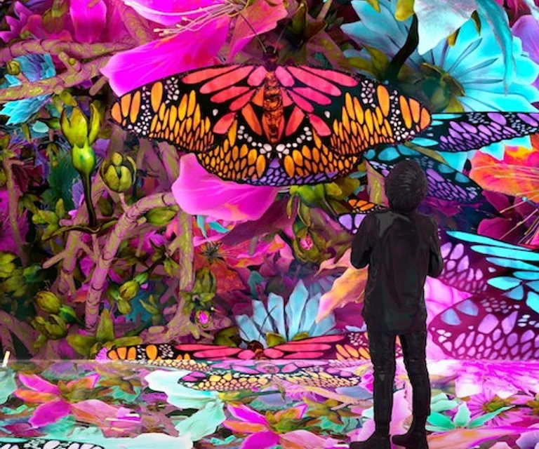 Experience image 1