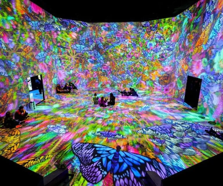Experience image 2