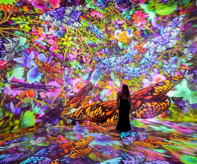 Experience image 3