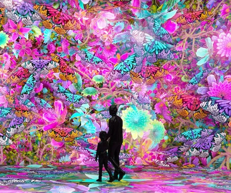 Experience image 4