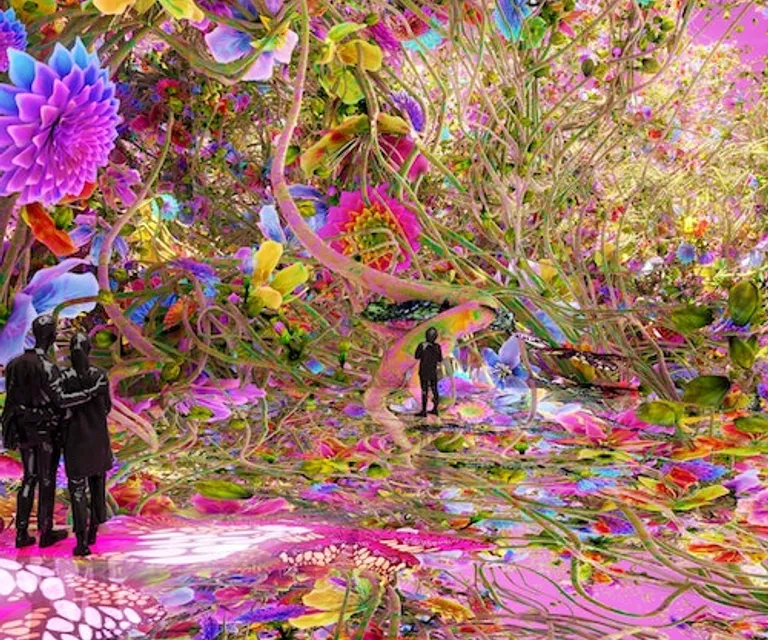 Experience image 5