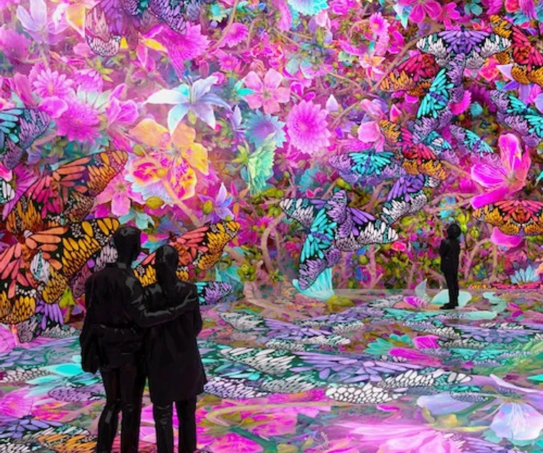 Experience image 6