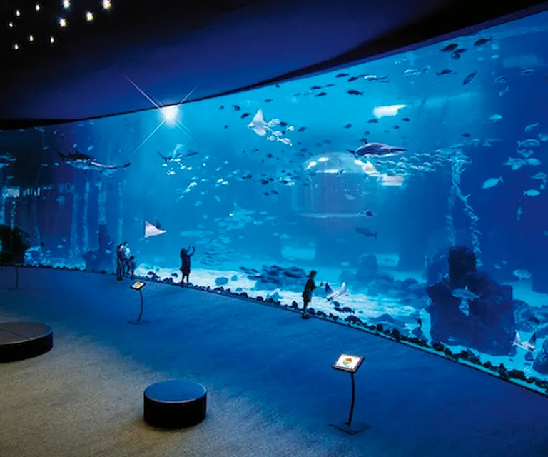 Experience image 9