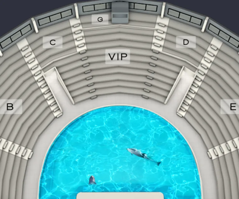 Experience image 6
